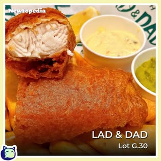 Newtopedia post